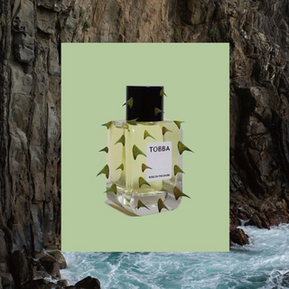 Tobba - Rose On The Shore